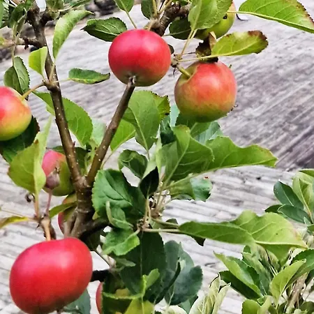 Дом отдыха 8 Person In Masfjordnes-by Traum Masfjorden